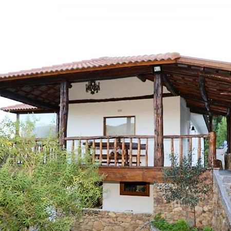 Quintinha D'Amelia Villa Celorico De Basto Exterior foto