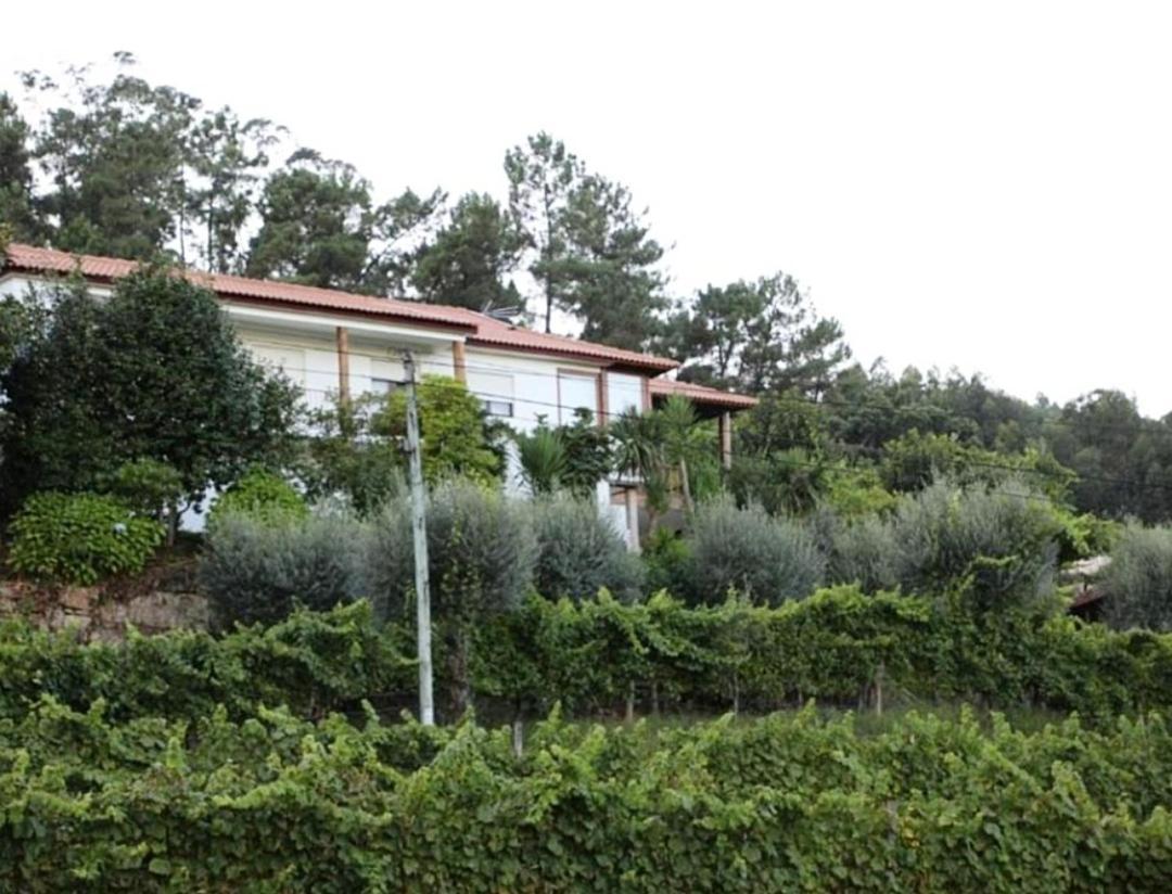Quintinha D'Amelia Villa Celorico De Basto Exterior foto